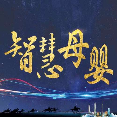 河南智慧母婴供应链